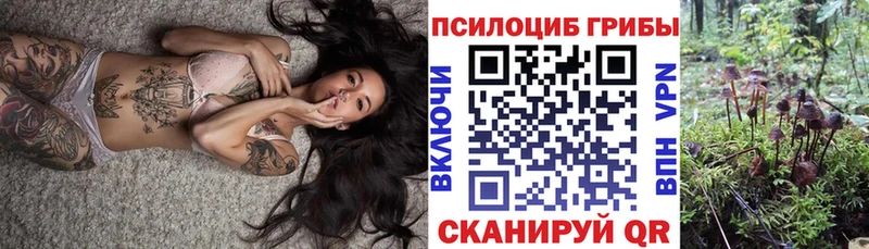 гидра ТОР Олёкминск Галлюциногенные грибы Cubensis магазин